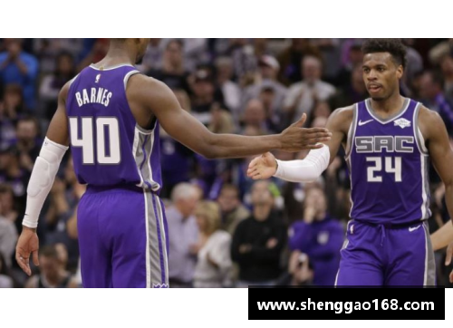 蓝网NBA直播全覆盖：最新赛程、球队动态与赛事解析