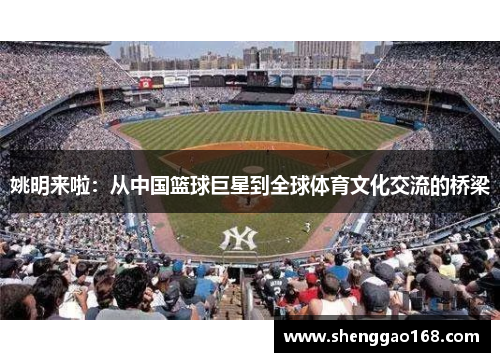 姚明来啦：从中国篮球巨星到全球体育文化交流的桥梁