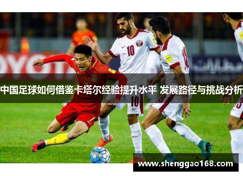 中国足球如何借鉴卡塔尔经验提升水平 发展路径与挑战分析