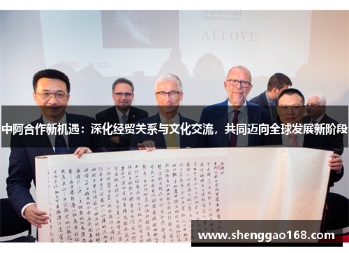 中阿合作新机遇：深化经贸关系与文化交流，共同迈向全球发展新阶段
