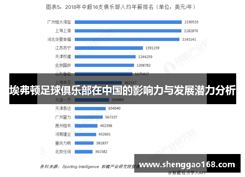 埃弗顿足球俱乐部在中国的影响力与发展潜力分析
